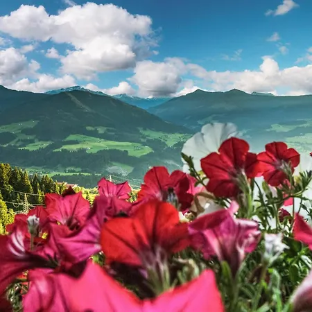 In Hopfgarten Hopfgarten im Brixental