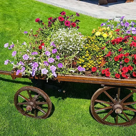 In Hopfgarten Salvenberg